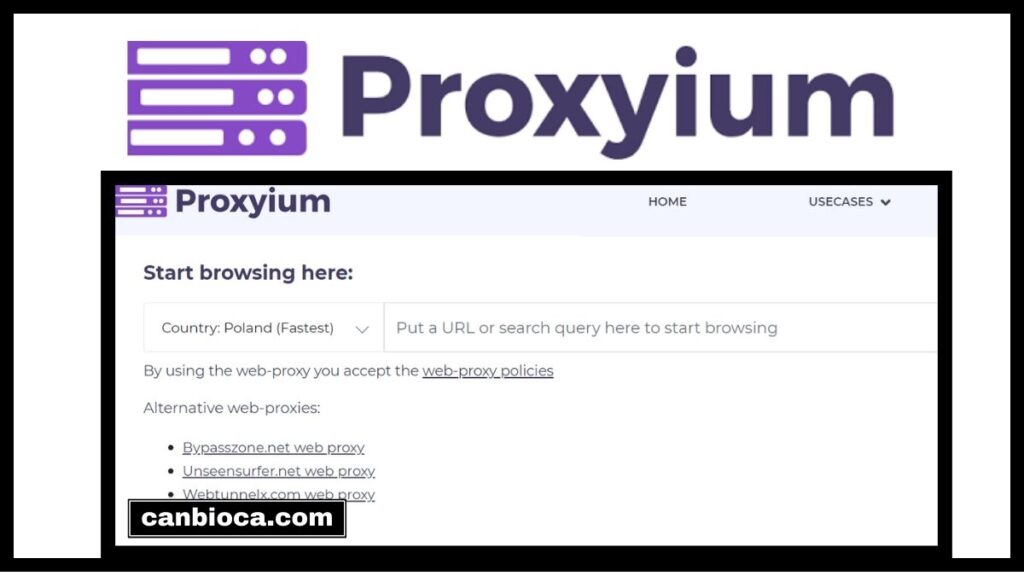 proxyium com